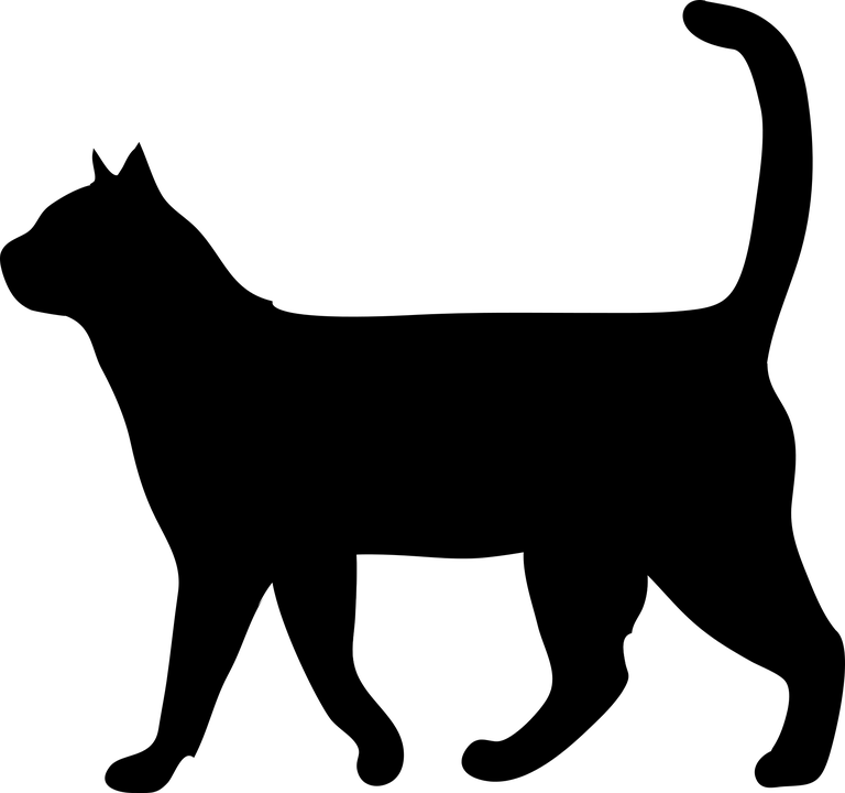 KOČKY